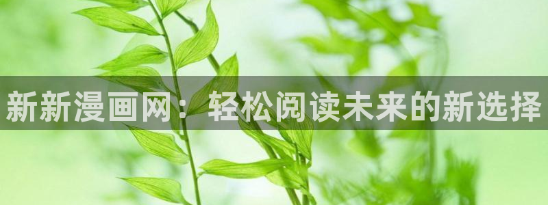 汗汗漫画韩国：新新漫画网：轻松阅读未来的新选择