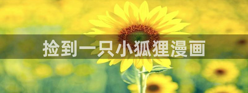 韩国汗汗漫画在线观看：捡到一只小狐狸漫画