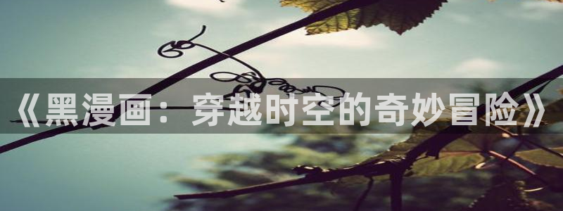 yy汗汗漫画：《黑漫画：穿越时空的奇妙冒险》
